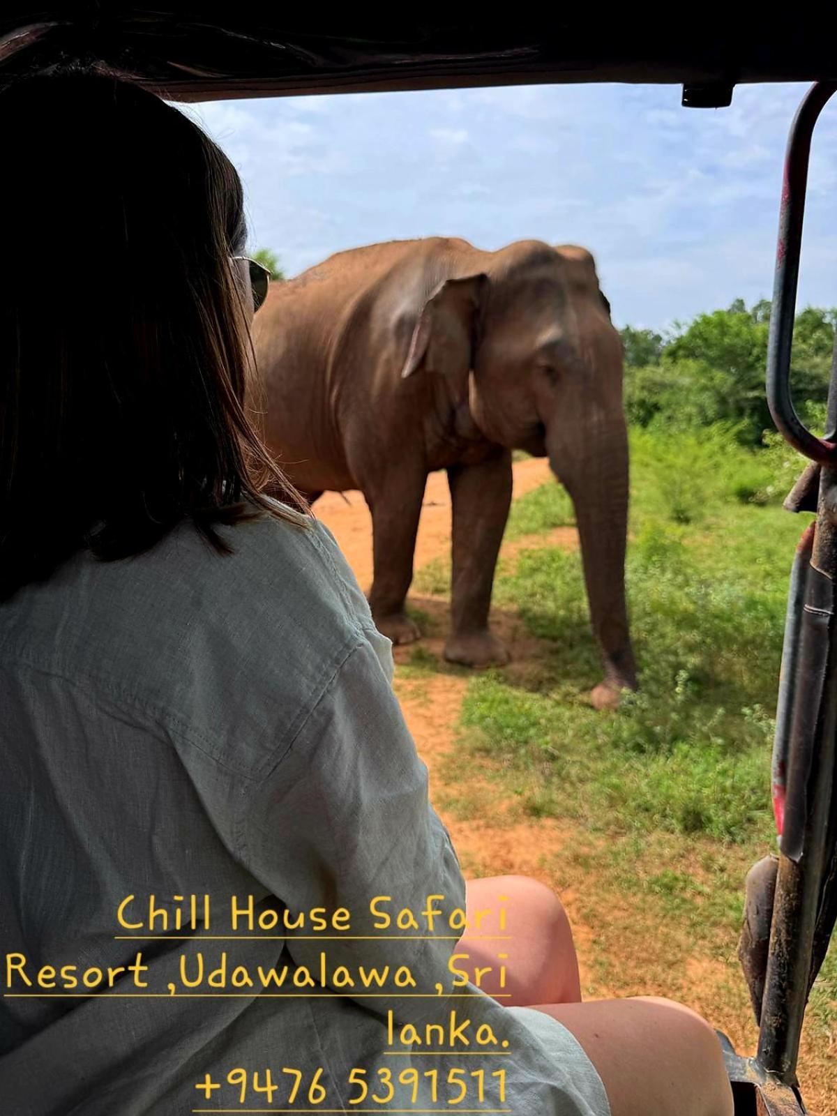 Chill House Safari Resort Udawalawe Exterior foto